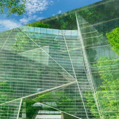 Sustainble green building. Eco-friendly building. Sustainable glass office building with tree