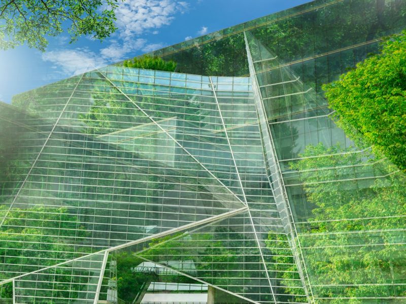 Sustainble green building. Eco-friendly building. Sustainable glass office building with tree